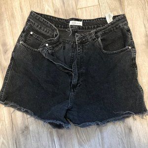 Zara Shorts